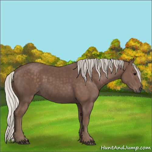 Horse Color:Silver Black