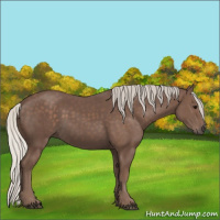 Horse Color:Silver Black 