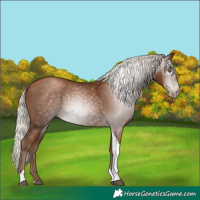 Horse Color:Gray Silver Black Pearl Tobiano