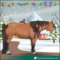 Horse Color:Bay Sabino 