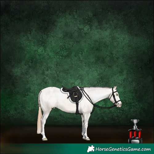 Horse Color:Sable Cream Champagne Appaloosa 