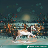 Horse Color:Bay Dun Sabino  and Bay Dun Sabino Splash 