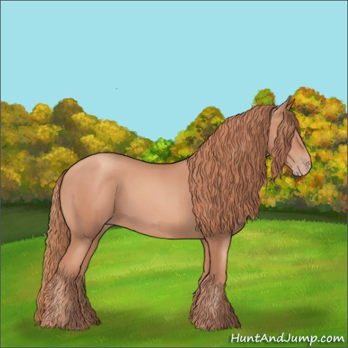 Horse Color:Gold Champagne 