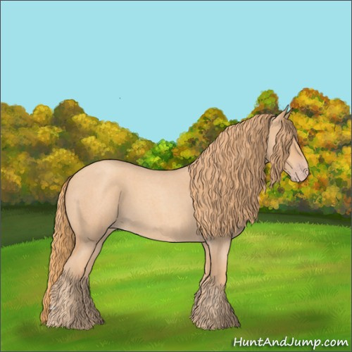 Horse Color:Gold Champagne Roan 