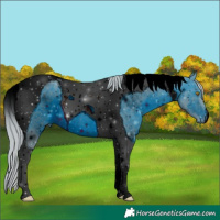 Horse Color:ERROR: UNKNOWN ANOMALY