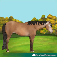 Horse Color:Gray Amber Champagne 