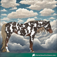 Horse Color:Liver Chestnut Near Leopard