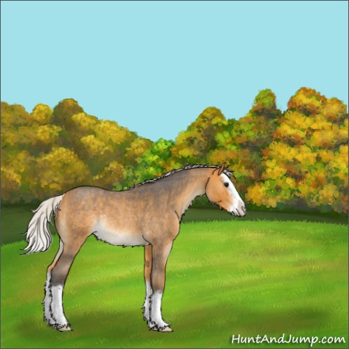Horse Color:Silver Buckskin Roan Splash Rabicano 