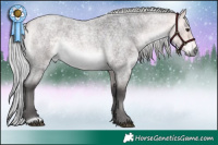 Horse Color:Platinum Silver Buckskin Roan Rabicano 