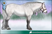 Horse Color:Platinum Silver Buckskin Roan Rabicano
