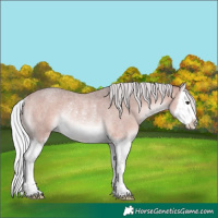 Horse Color:Platinum Silver Bay Roan Splash Rabicano 