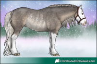 Horse Color:Silver Smoky Blue Roan Splash Rabicano