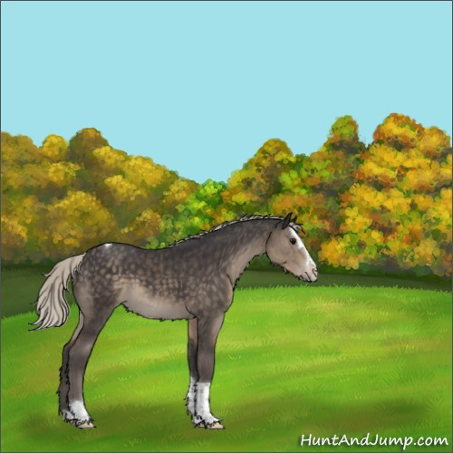 Horse Color:Silver Smoky Black Splash Tobiano 