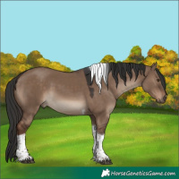 Horse Color:Liver Red Dun Tobiano Rabicano