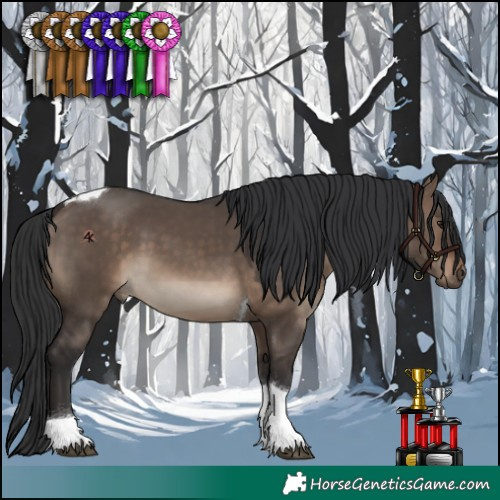 Horse Color:Brown Dun Tobiano 