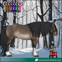 Horse Color:Brown Dun Tobiano 