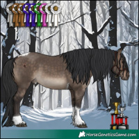 Horse Color:Brown Dun Tobiano