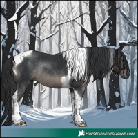 Horse Color:Black Tobiano Rabicano