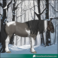 Horse Color:Grullo Tobiano