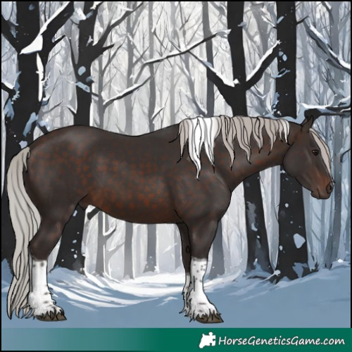 Horse Color:White Spotted Silver Brown Tobiano 