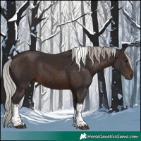 Horse Color:White Spotted Silver Brown Tobiano 