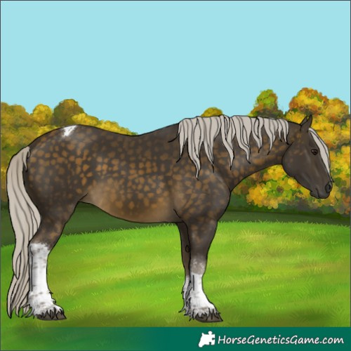 Horse Color:Silver Buckskin Tobiano