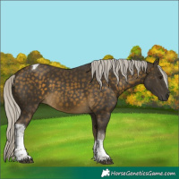 Horse Color:Silver Buckskin Tobiano 