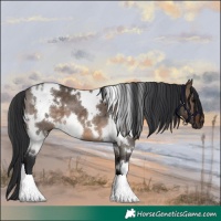 Horse Color:White Spotted Brown Dun 