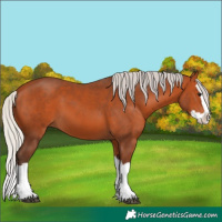Horse Color:Silver Bay Splash
