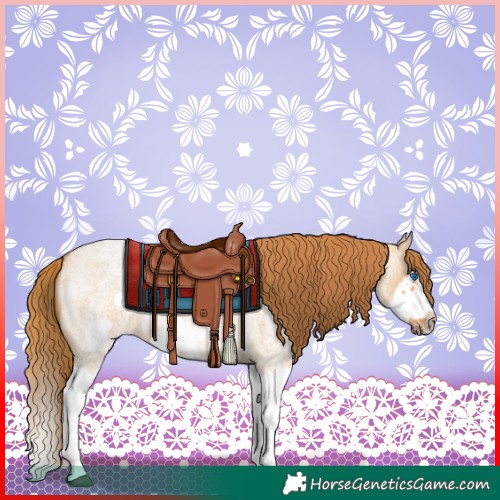 Horse Color:Red Dun Roan Splash Frame Rabicano 
