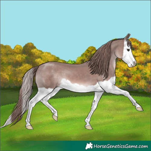 Horse Color:Platinum Chestnut Splash 
