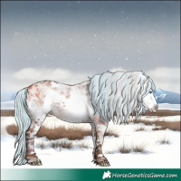 Horse Color:Painted White Spotted Silver Brown Ice Dun Mushroom Sabino Splash 