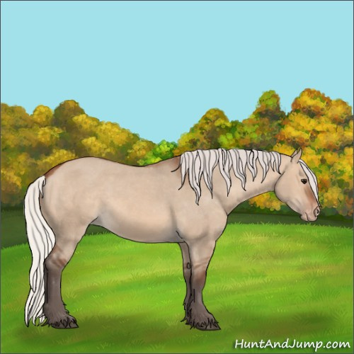 Horse Color:Silver Brown Dun Varnish