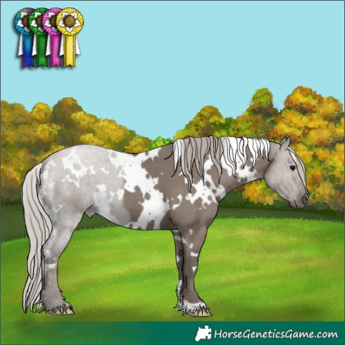 Horse Color:White Spotted Silver Grullo 