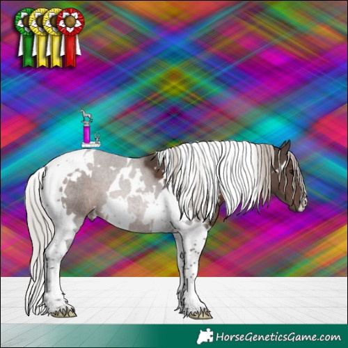 Horse Color:White Spotted Silver Black Tobiano 