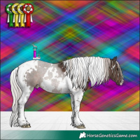 Horse Color:White Spotted Silver Black Tobiano 