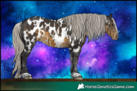 Horse Color:White Spotted Silver Smoky Black Near Leopard
