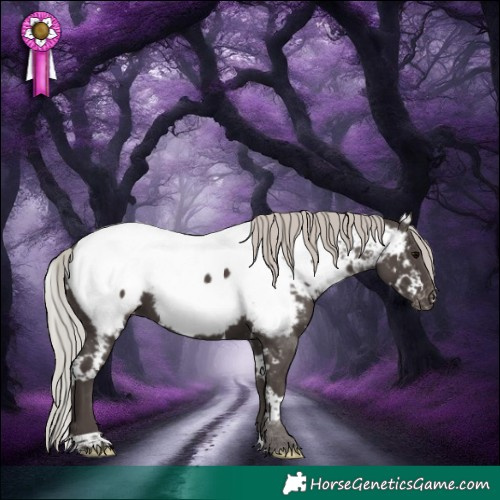 Horse Color:White Spotted Silver Black Near Fewspot