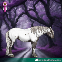 Horse Color:White Spotted Silver Black Appaloosa 