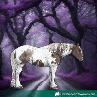 Horse Color:White Spotted Silver Black Tobiano 