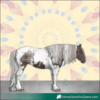 Horse Color:White Spotted Silver Black Tobiano 