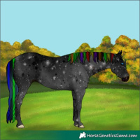 Horse Color:ERROR: UNKNOWN ANOMALY