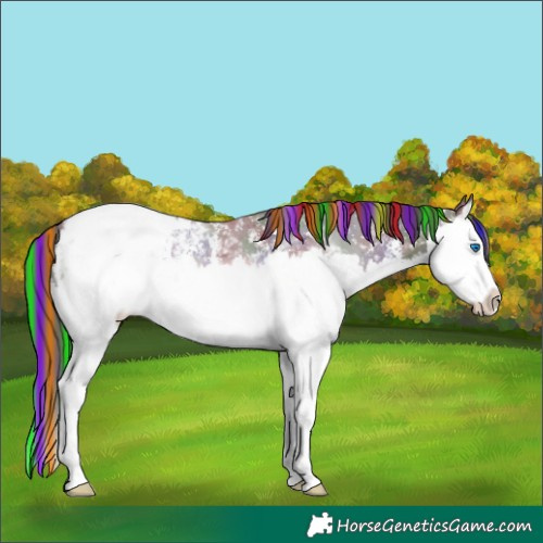 Horse Color:Painted Nacre Liver Chestnut Sabino Splash Snowcap 