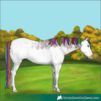 Horse Color:Painted Nacre Liver Chestnut Sabino Splash Snowcap 