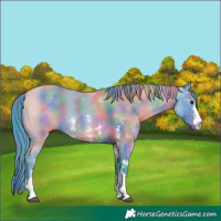 Horse Color:Nacre Watercolor Black Sabino 