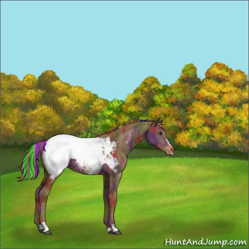 Horse Color:Painted Nacre Chestnut Sabino Snowcap 