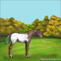 Horse Color:Painted Nacre Chestnut Sabino Snowcap