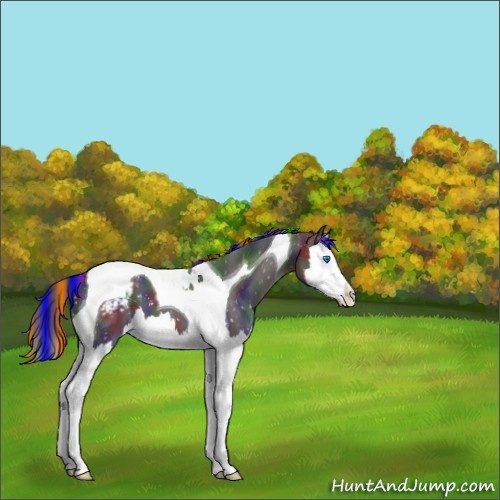 Horse Color:Painted Nacre Liver Chestnut Sabino Splash Tobiano Snowcap