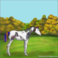 Horse Color:Painted Nacre Liver Chestnut Sabino Splash Tobiano Snowcap