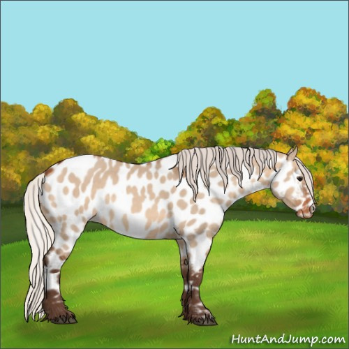 Horse Color:Silver Brown Dun Near Leopard 
